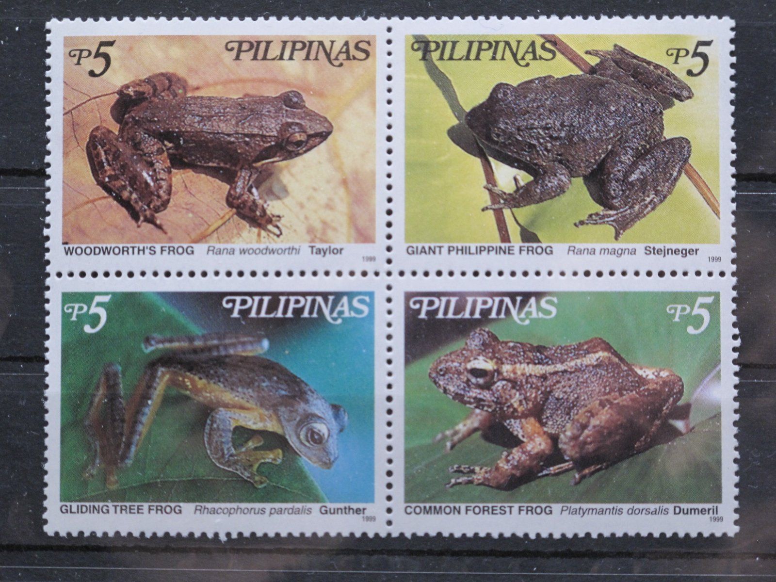 Alle Briefmarken: PH 1999 Frösche   4er Block ** – Gebraucht aus Wil SG von fva01