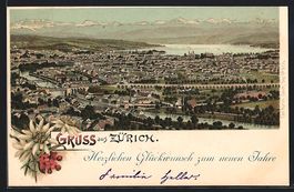 Litho Zürich, Panorama, Alpenblumen