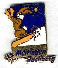 Placchette & Badge: Meiringen Region Hasliberg – Usato da Hinterkappelen venduto da Schampus