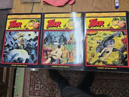 Tibor, Sohn des Dschungels, alte Comic-Hefte 1-5 (T)