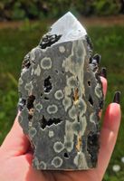 Top Regenwaldjaspis Obelisk 637g