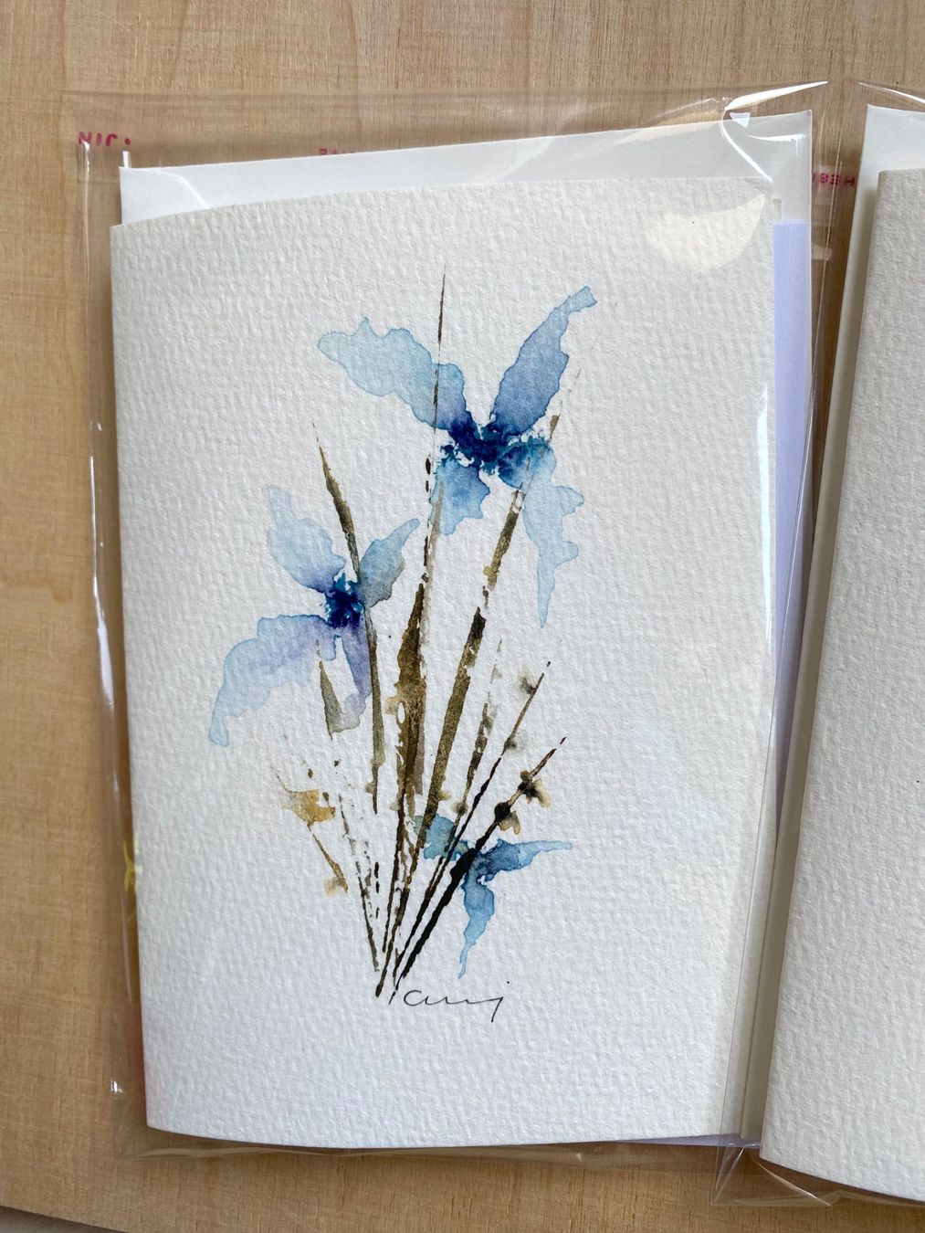 Karten: 2-er Set Aquarell-Kunstkarten, handgemalt, Grusskarten – Neu und originalverpackt aus Fanas von Omibia 1