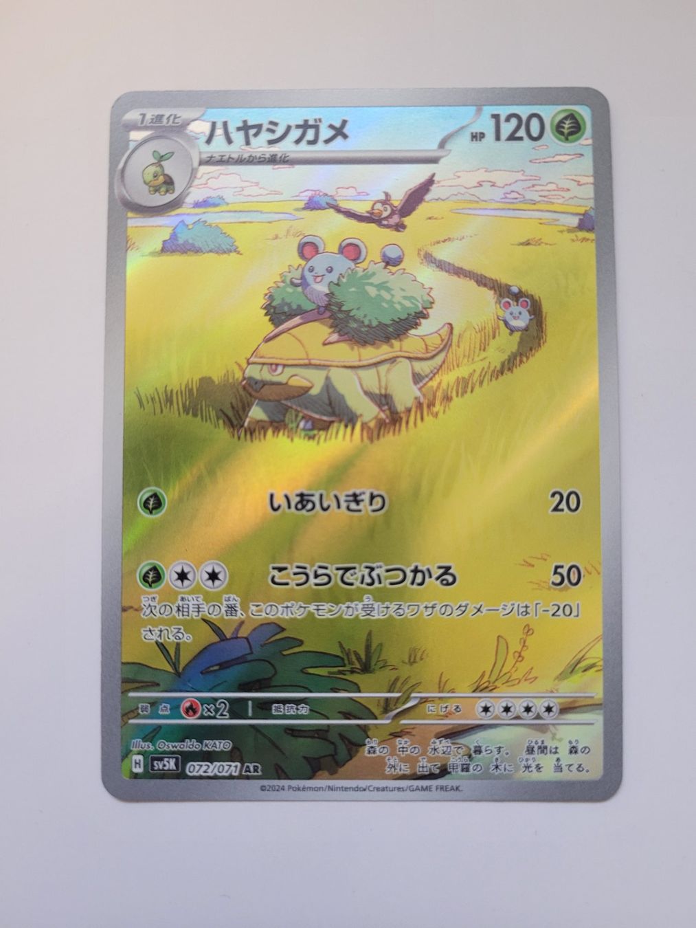 Pokémon Carte collezionabili: Pokemon TCG Grotle sv5K 072/071 AR JP – Usato da Münchenstein venduto da new_akiba_store