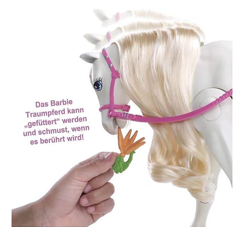 Bambole: Barbie DreamHorse – Usato da Rheinau venduto da stoeffel4 3