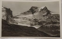 SCHEERHORN