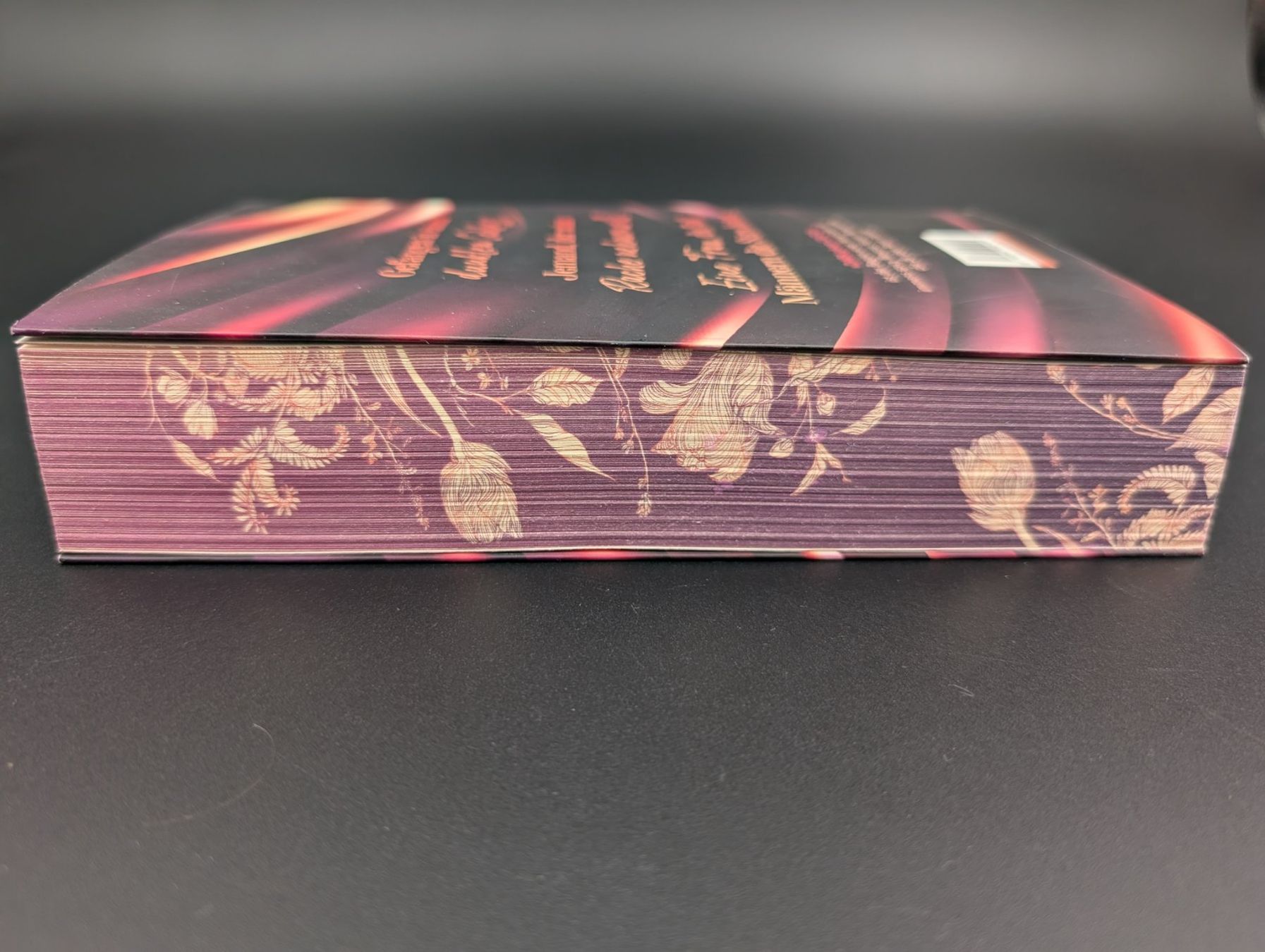 Libri: D.C. Odesza: Dark Gleam Castle – Usato da Wiezikon b.Sirnach venduto da CaRo_Second 5
