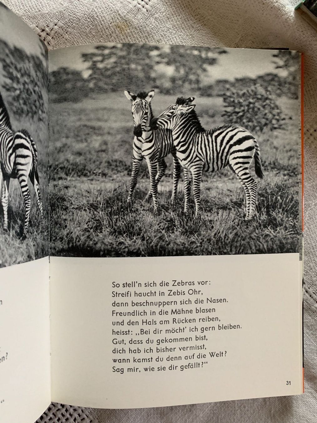 Libri: 7 Bände aus der Vera-Reihe – Usato da Stans venduto da Abukadnezar 2