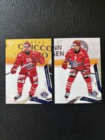 Sportzoo Rapperswil Jona
