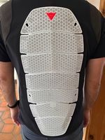 Dainese Rückenprotektor