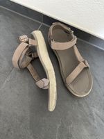Teva 41