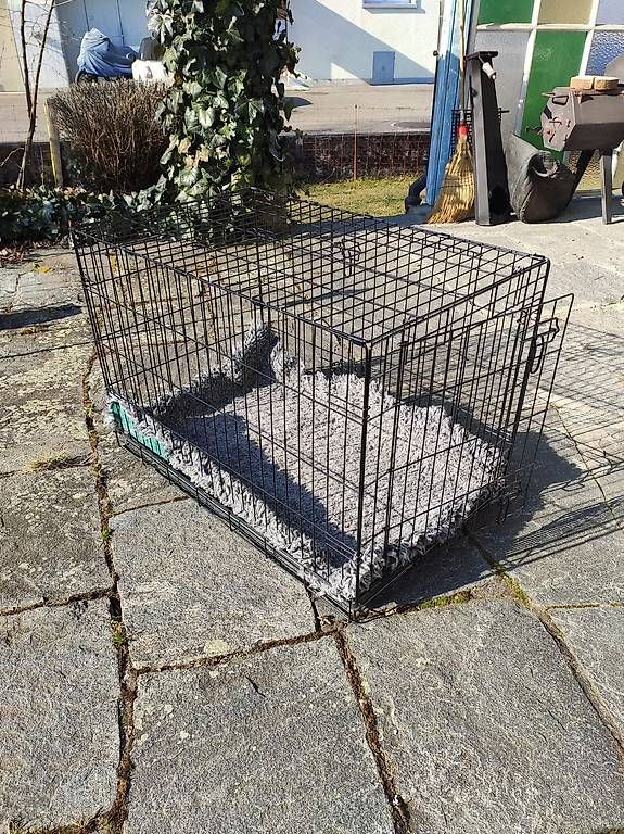 Gabbie, trasporto & Sicurezza: Hundegitter mit Decke – Usato da Kernenried venduto da Lemoger 2