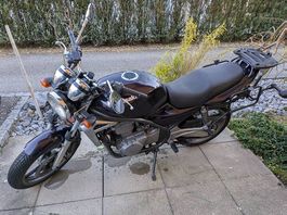 Kawasaki ER-5 (37 kW, 50 PS)