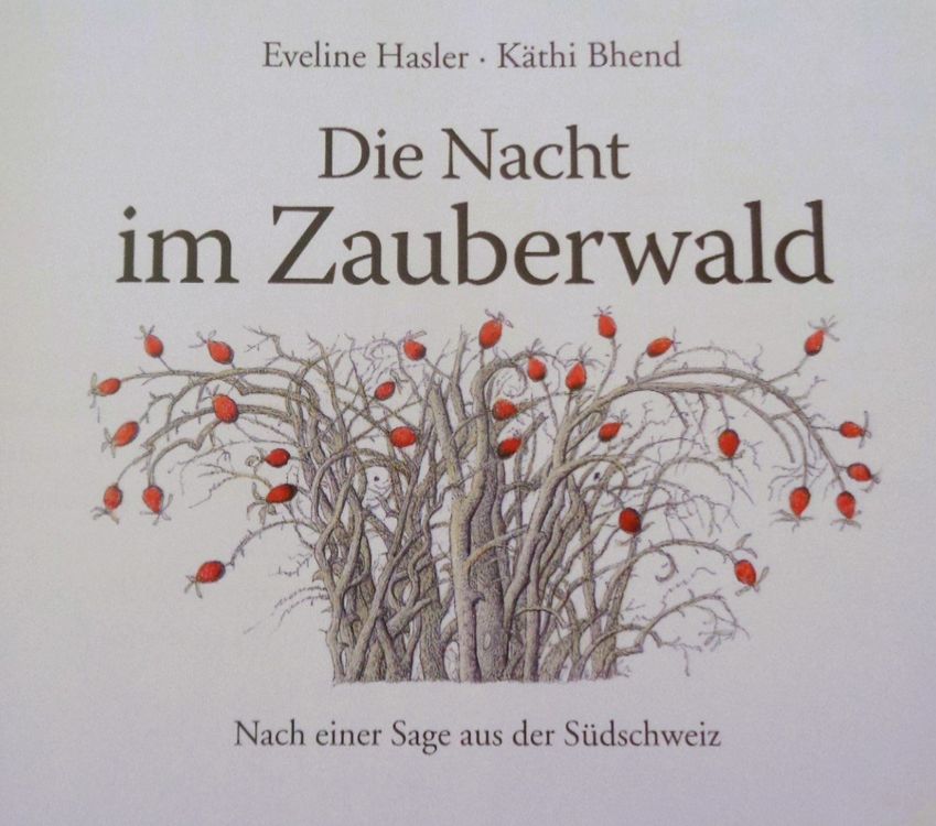 Die Nacht im Zauberwald / Bilderbuch ab Fr. 8.- 3
