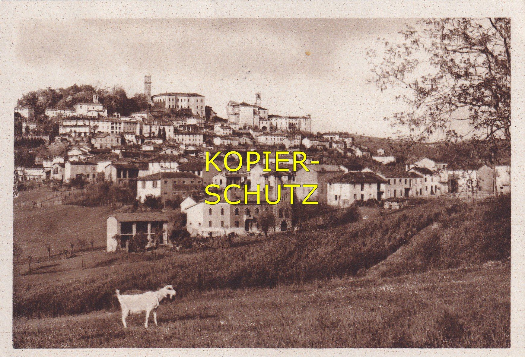 Cartoline postali: Murisengo Monferrato (Panorama) /mp – Usato da Hombrechtikon venduto da Rudolf07