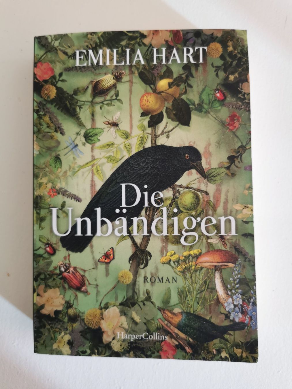 Libri: Die Unbändigen vom Emilia Hart – Usato da bern venduto da jeannie2006