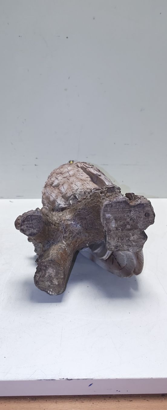 Statuette: Eule, aus robustem Kunststein (nov710) – Usato da Künten venduto da Schnaepplihuus 4
