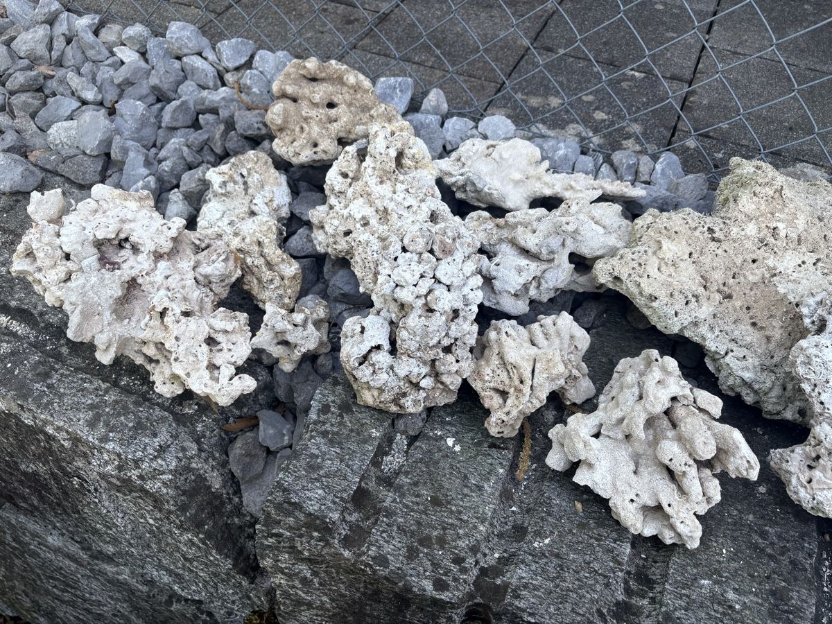 Tutte le decorazioni: Atoll Riffsäulen und jede Menge Riffgestein – Usato da Dürnten venduto da Cx83 3