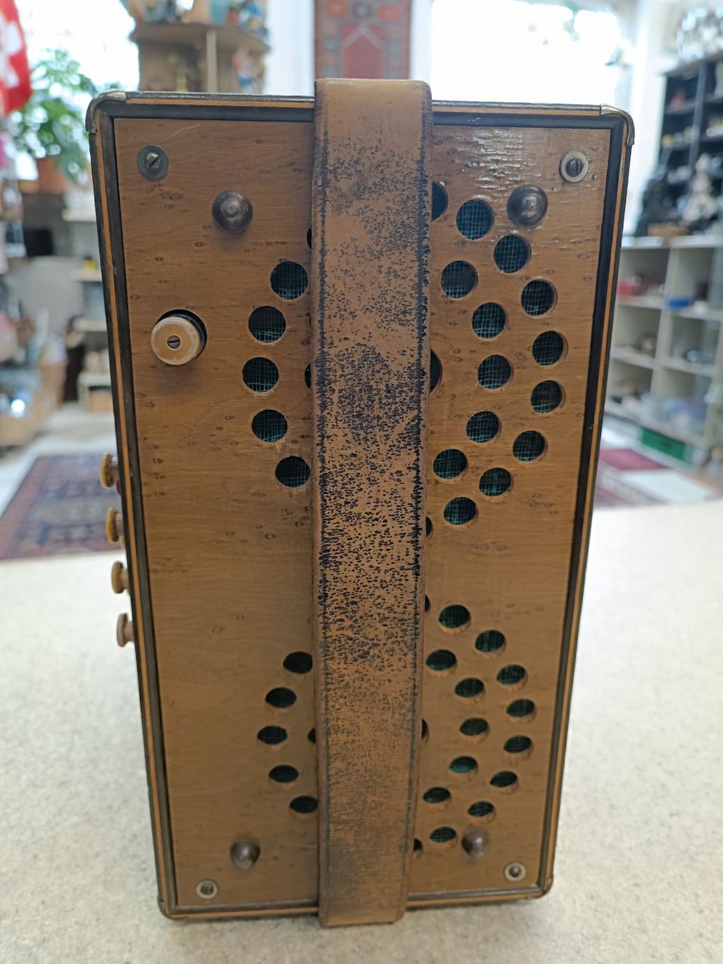 Hohner Instruments de musique: Altes Hohner Handörgeli – D'occasion à Reiden par Zofi-Brocki 2