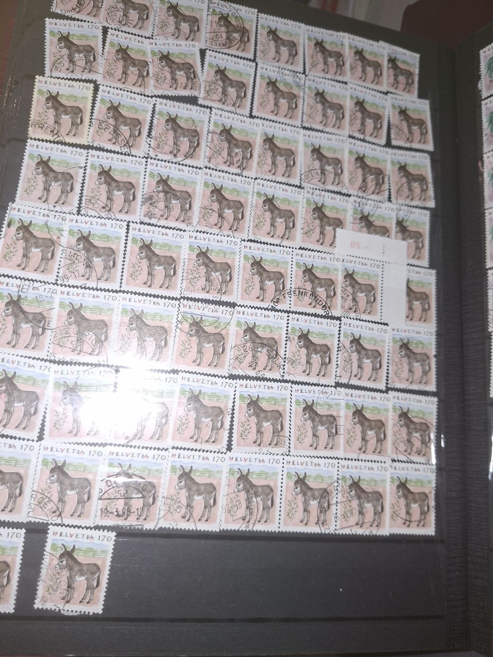 Alle Briefmarken: 2 Alben Voll mit Dubletten Material  – Gebraucht aus Balgach von SIMEON27 9