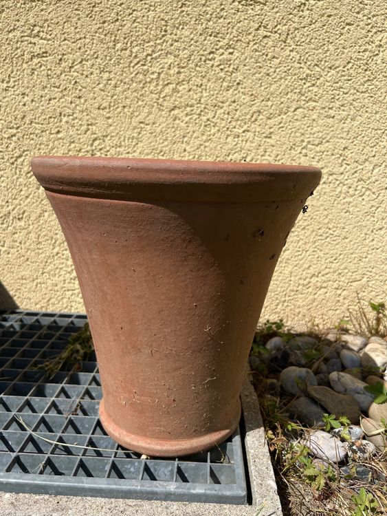 Tontopf Garten Kaufen auf Ricardo