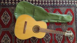 Akustikgitarre mit Tasche