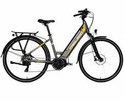 E-Bike Trelago Dinal 28“