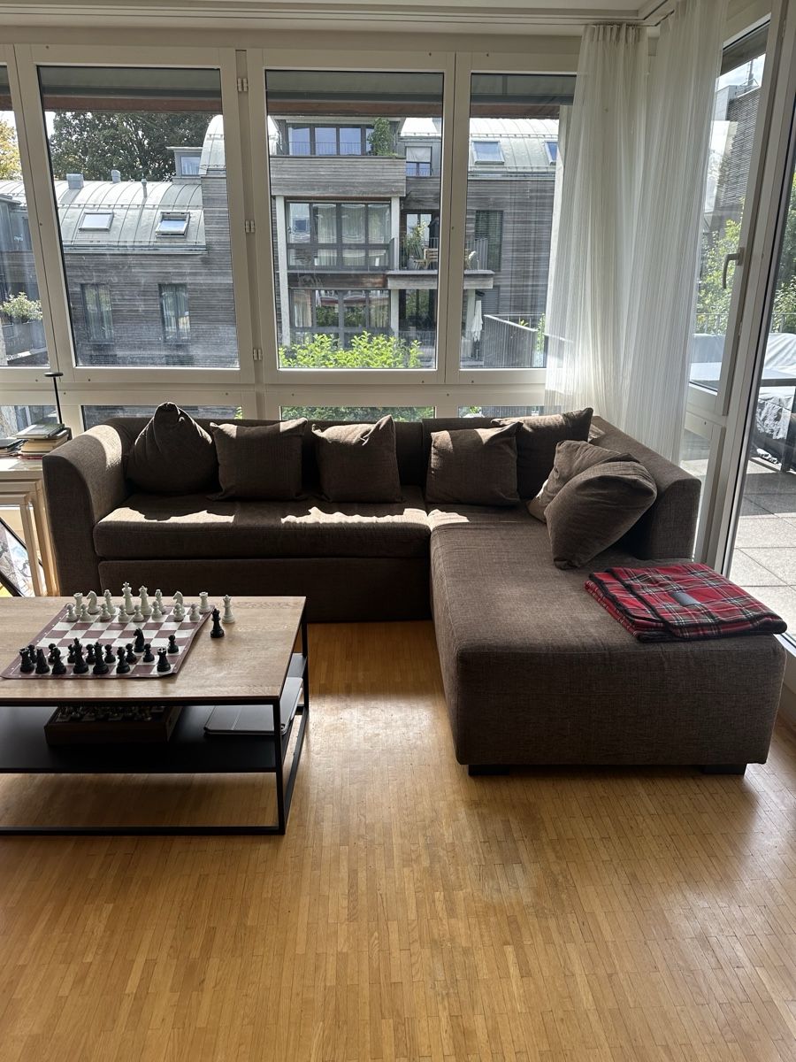 Divani: Brown Corner Sofa – Usato da Thalwil venduto da tan_2hnl