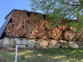 Brennholz