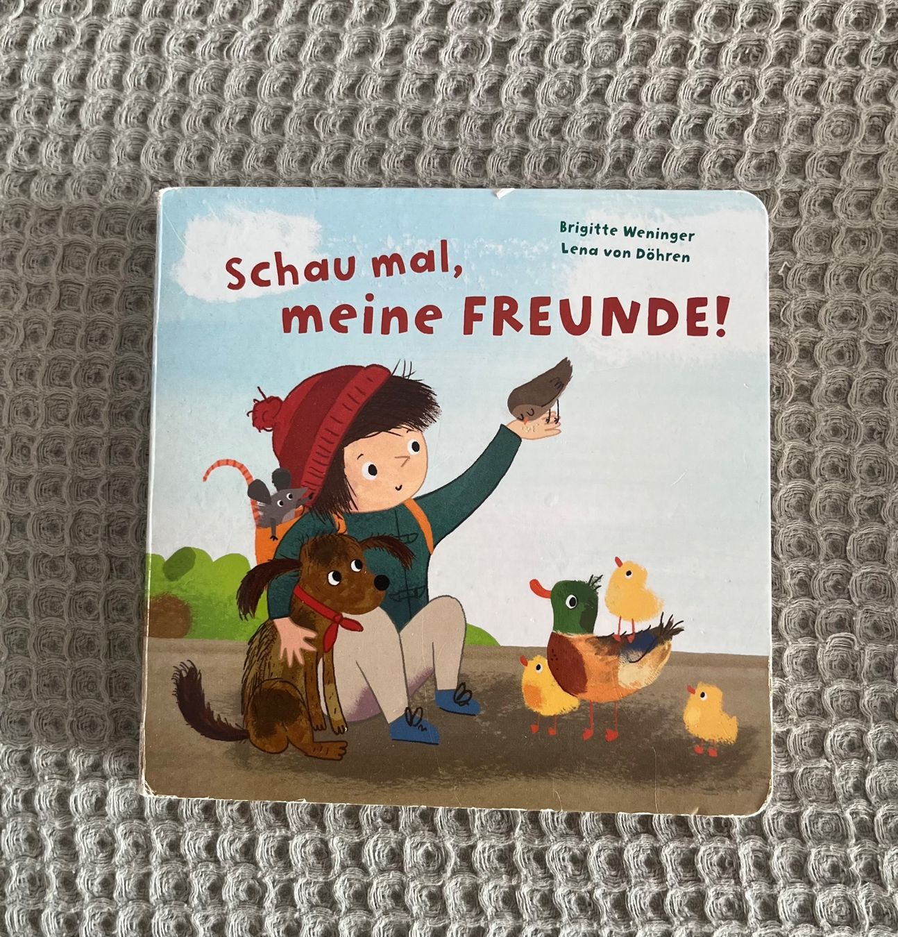 Libri: 5x Bücher ab 18 Mnt. – Usato da Gattikon venduto da AnnettFloh 5