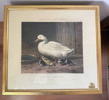 J.F. Herring Sr.-Duck and Ducklingsin 22k Goldrahmen