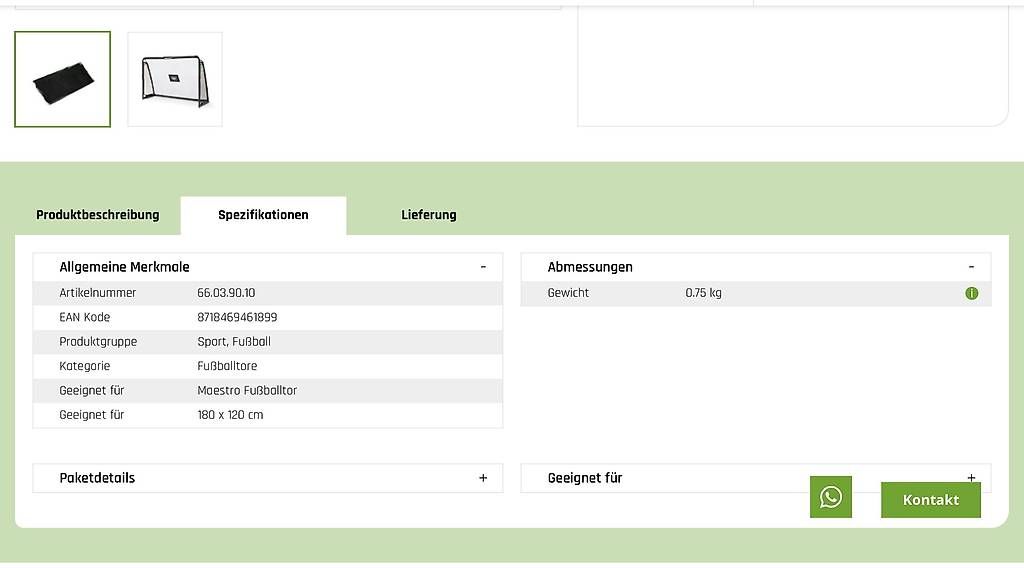 Fussball- & Hockeytore: Exit Goal Ersatz Netz – Gebraucht aus Zizers von tromic 2