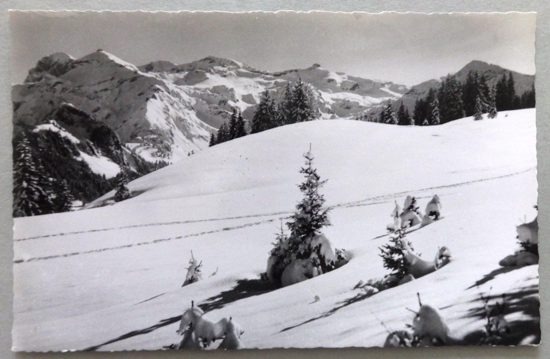 Ansichtskarten: Lenk i. S., Auf dem Stoos – Gebraucht aus Fétigny von Billy2miny