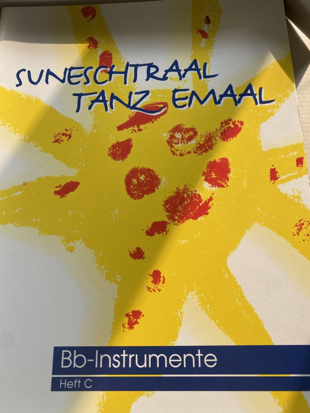 Libri: Suneschtraal /Konvolut – Usato da Sachseln venduto da basti1950 4