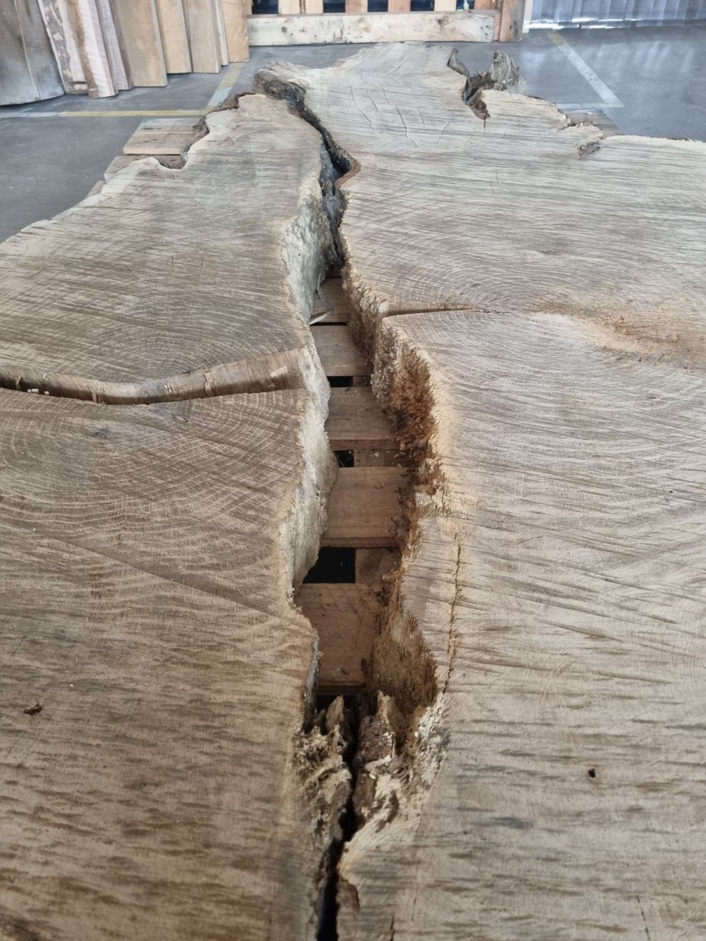 Articoli in legno: Baumscheibe Eiche Tischplatte Eichenplatte XXL  210 cm – Usato da Rheineck venduto da Dein_Wunschholz 5