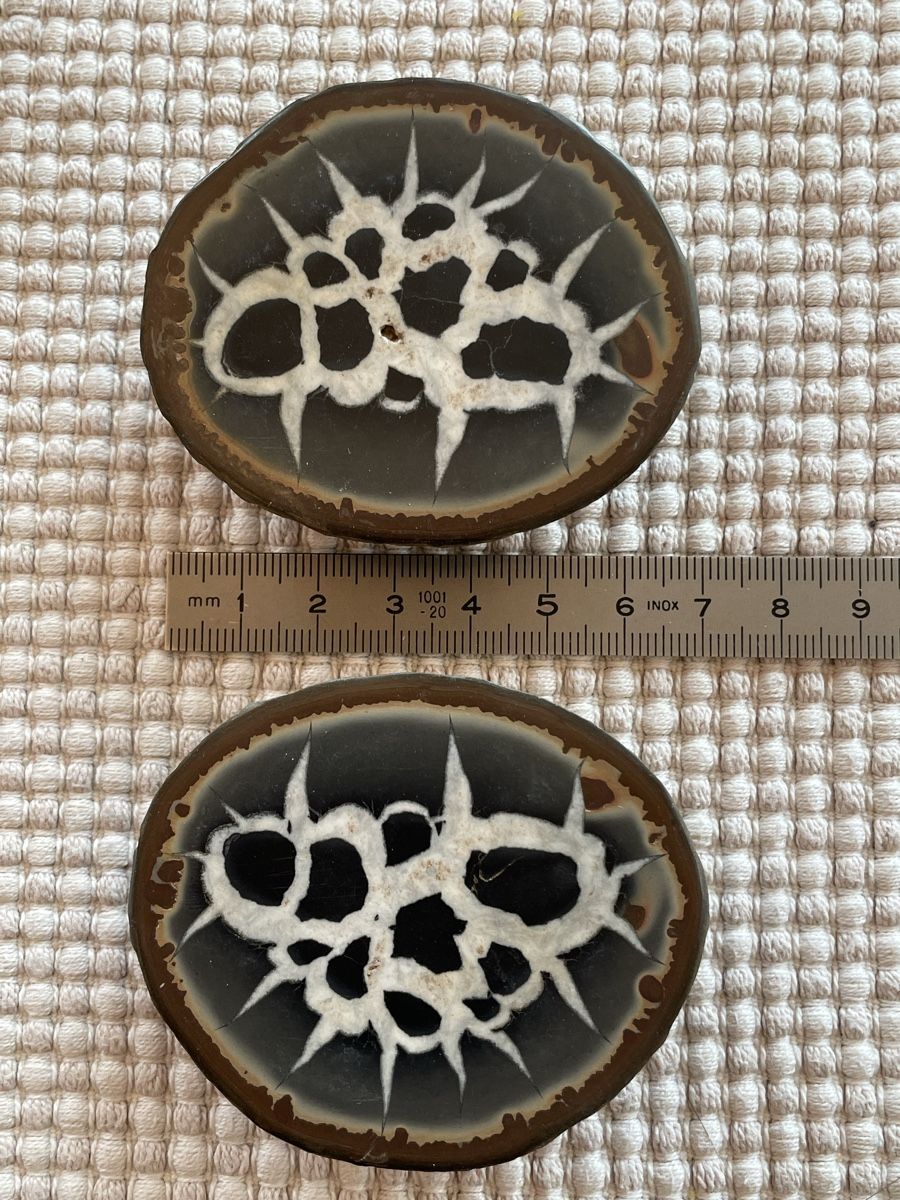 Minerali & Pietre curative: Septarie Heilstein – Usato da Rümlang venduto da resale35