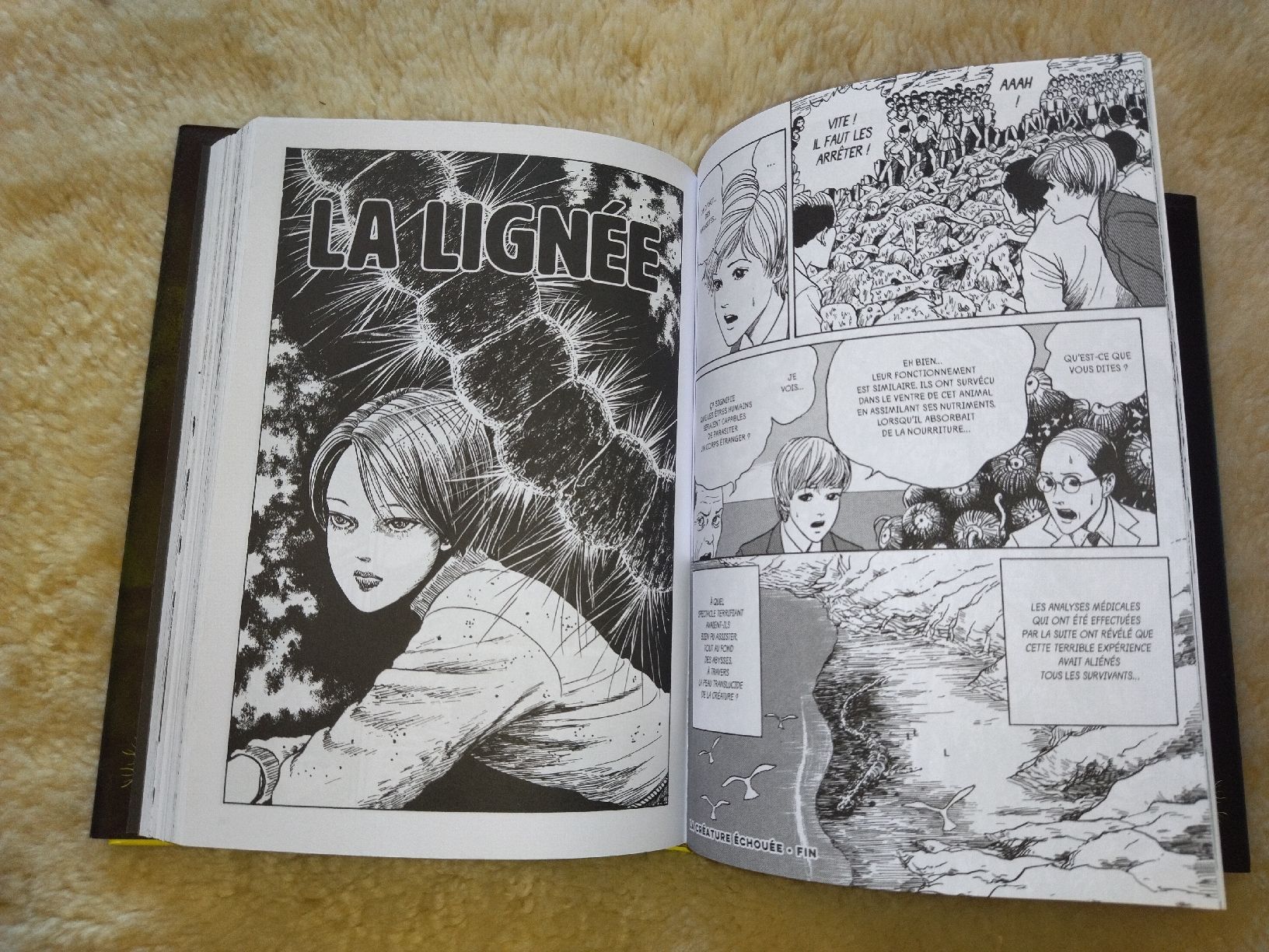Libri: Junji ito livre tombes – Usato da Sion venduto da kat_m68k 2