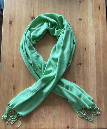 Pashmina-Schal hellgrün, selten gebraucht, fast neu