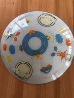 Deckenlampe einwandfreier Zustand 