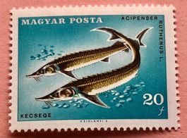 Briefmarken aus Ungarn  UNGESTEMPELT Siehe Original Fotos. 