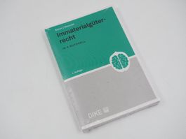Immaterialgüterrecht - In a Nutshell (26100619PL)