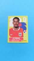 Panini Sticker FIFA WM 2026 - PAN 8