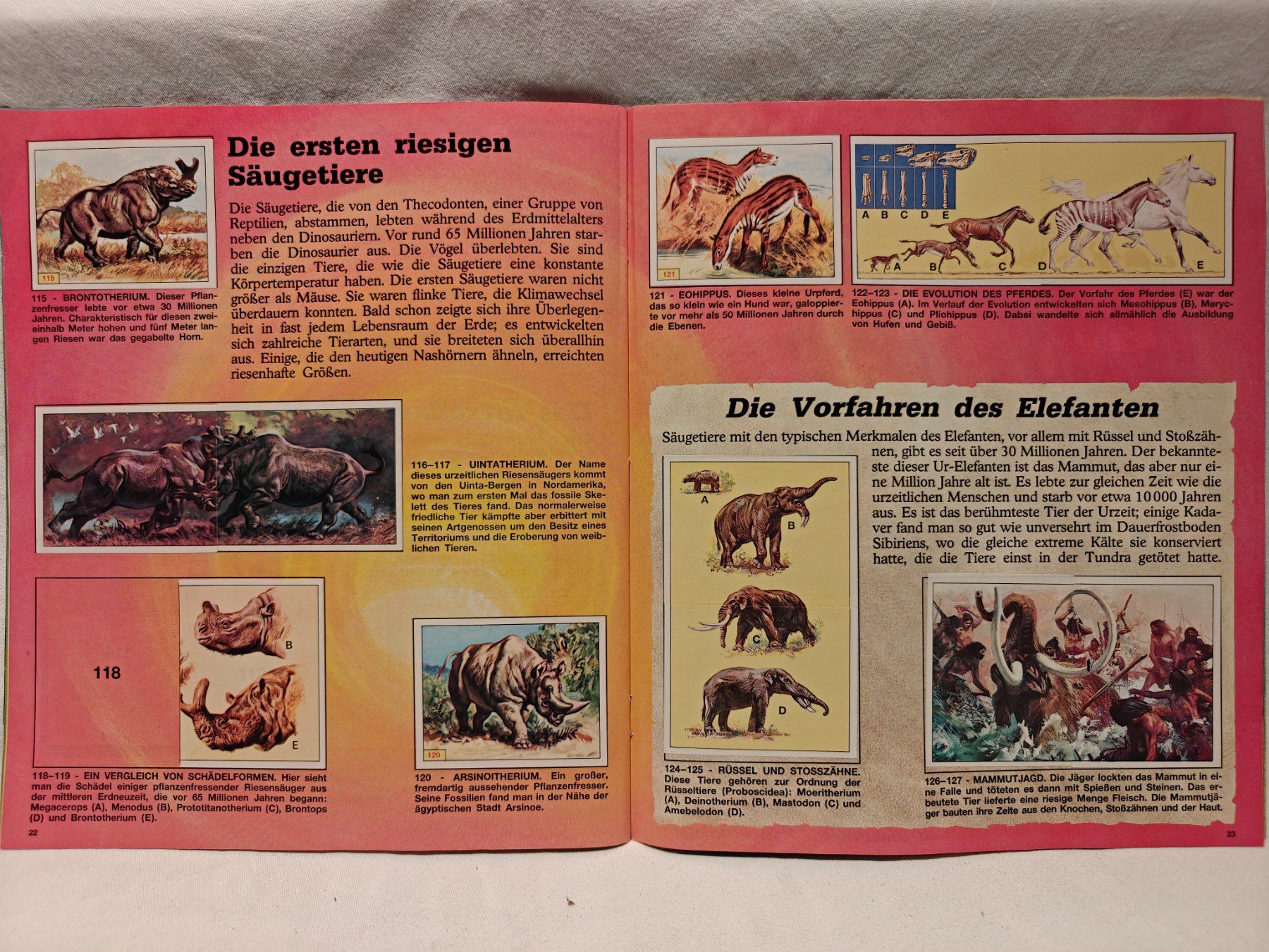Panini Album: Tiere der Urzeit 1992 – Usato da Gutenswil venduto da Vulcano21 5