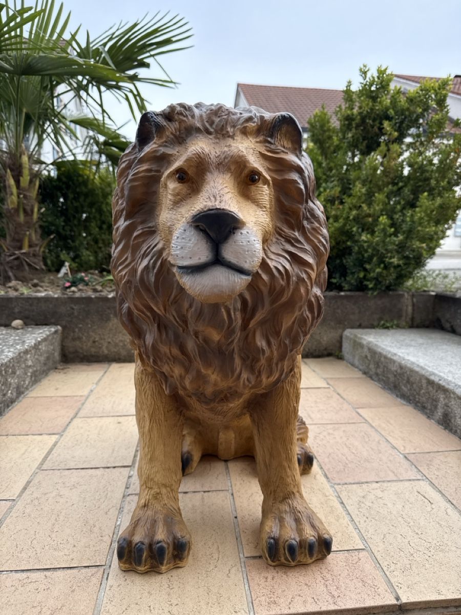 Sculture & Statue: Grosse Löwen Statue für Garten oder Terrasse! NEU – Nuovo e nell'imballaggio originale da Zwingen venduto da Eiphone