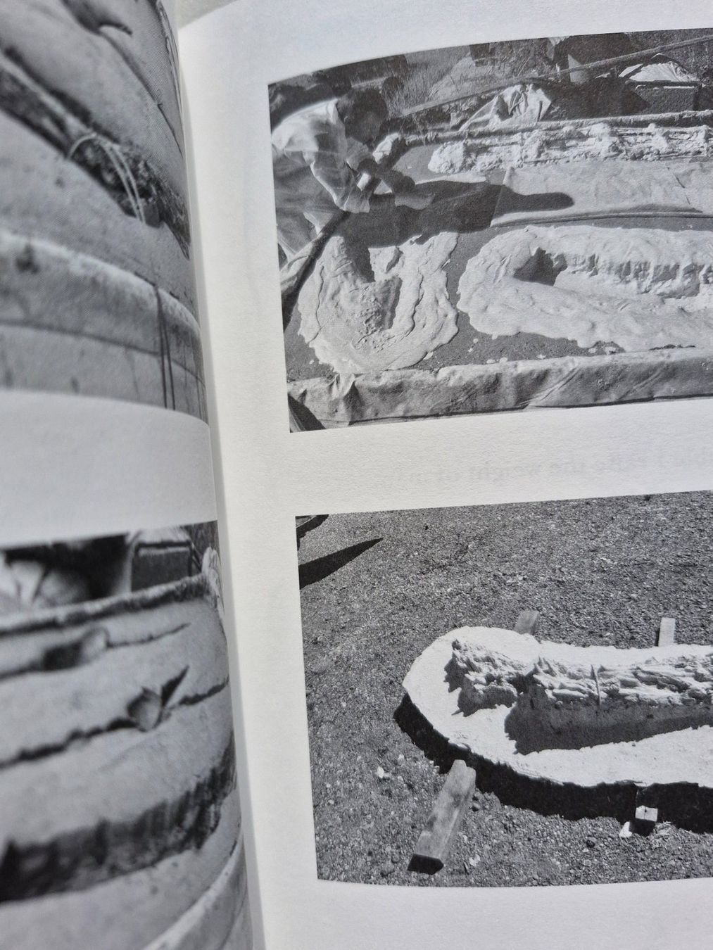 Libri: Giuseppe Penone: Germinazione, Arte Povera – Usato da Zürich venduto da Secretariat11 2