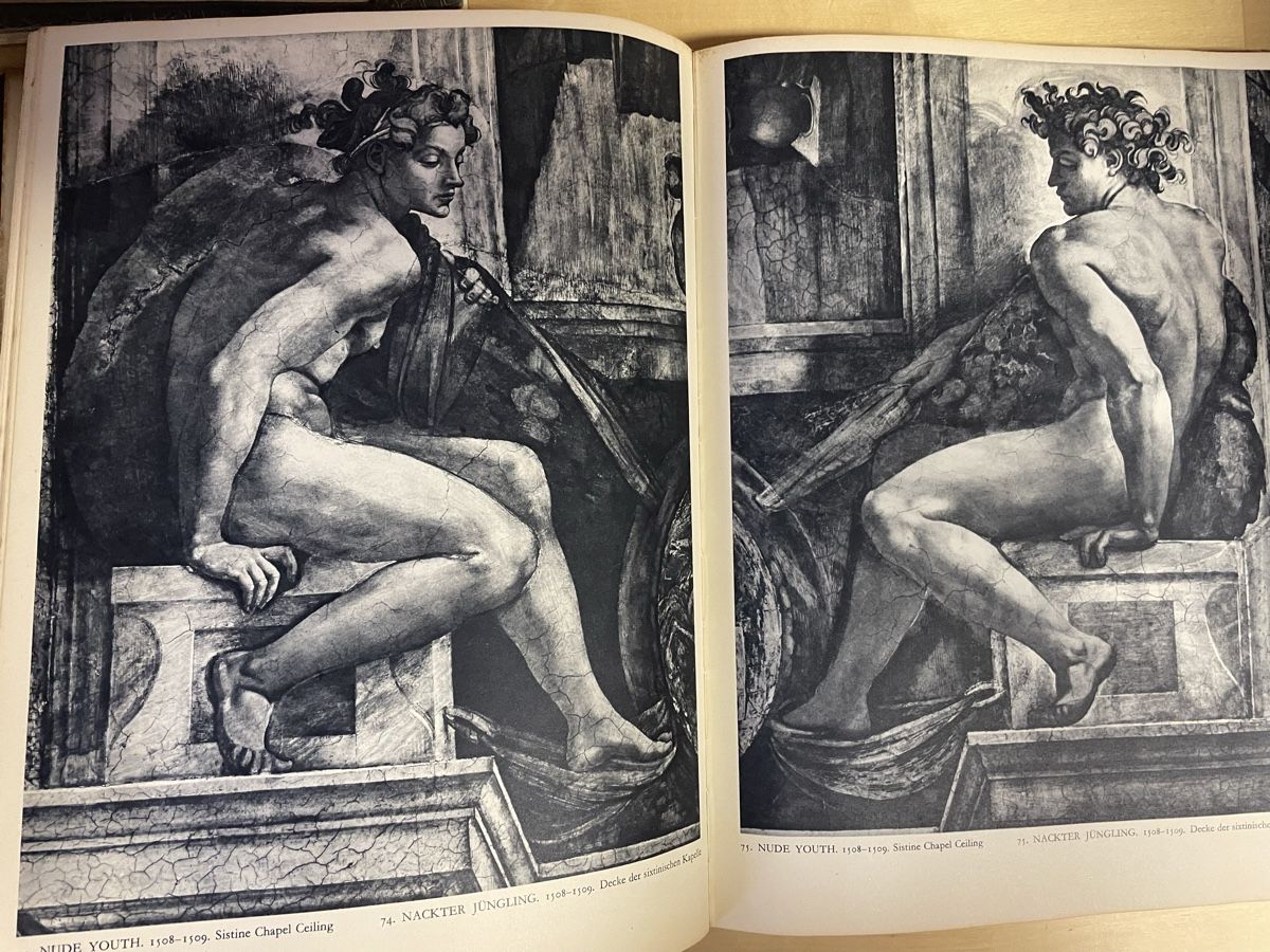 Libri: Michelangelo - Vollständige Ausgabe, Goldscheider – Usato da Wyssachen venduto da Hahe89 6