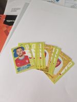 Panini CZE / Tschechien