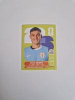 Panini Sticker URU14