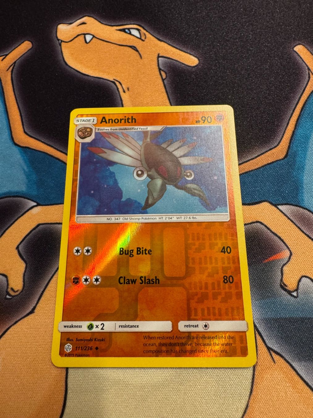 Pokémon Carte collezionabili: Anorith (CEC 111) - EN - Reverse Holo - Cosmic Eclipse – Nuovo (secondo la descrizione) da Bülach venduto da Pfrenzel