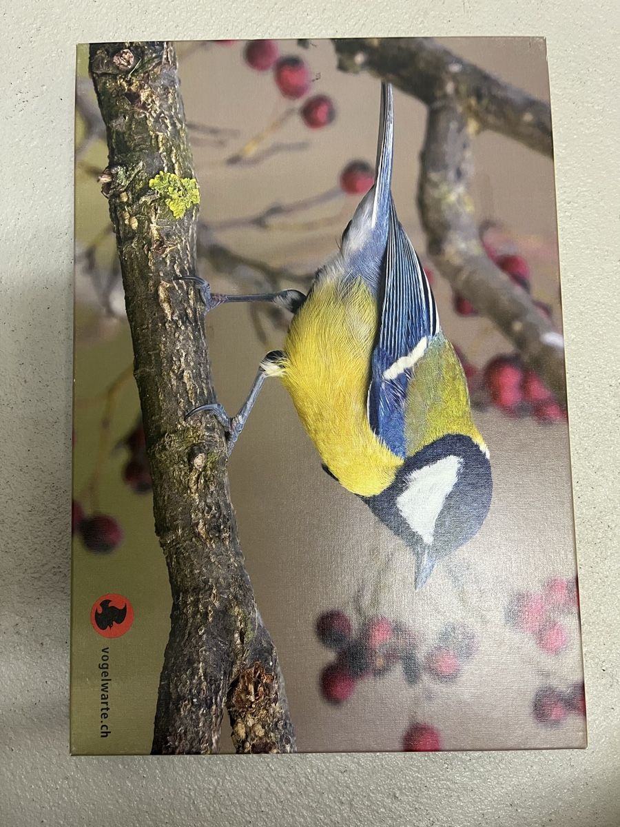 Puzzles: Puzzle eines Vogels – D'occasion à Winterthur par marbischof