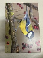 Puzzle eines Vogels
